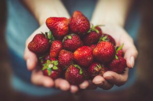Industrial Age Farming: How Urbanization is Changing the Industry